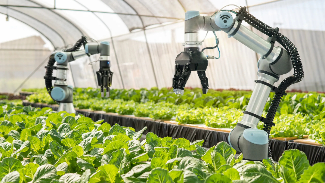 Al via nel 2026 il nuovo corso interateneo “Foodtech for Ecological Transition” del Politecnico di Torino e dell’Università di Pollenzo