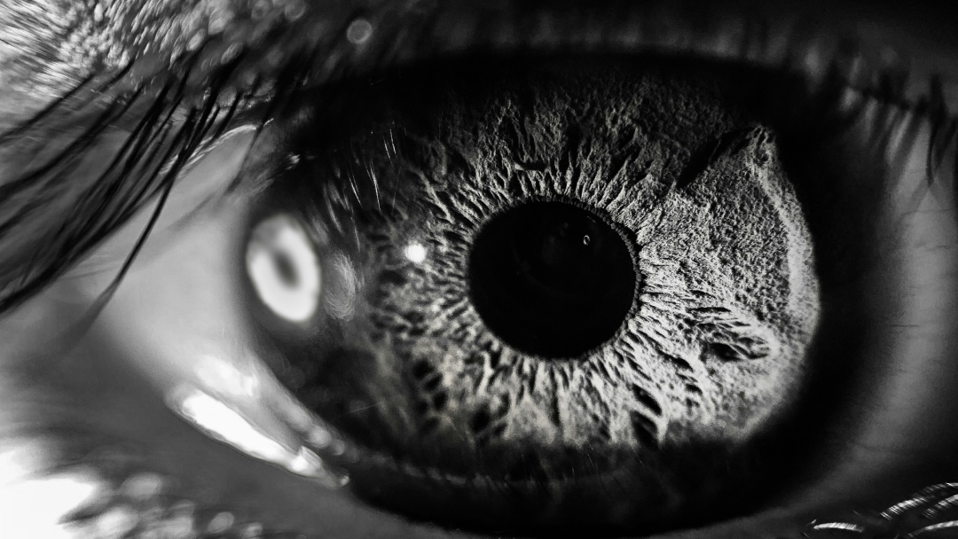 Il Koelliker di Torino primo ospedale in Italia con l’esoscopio digitale Beyeonics One per la chirurgia oftalmica